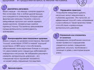 Неделя осведомленности сердечно-сосудистых заболеваний